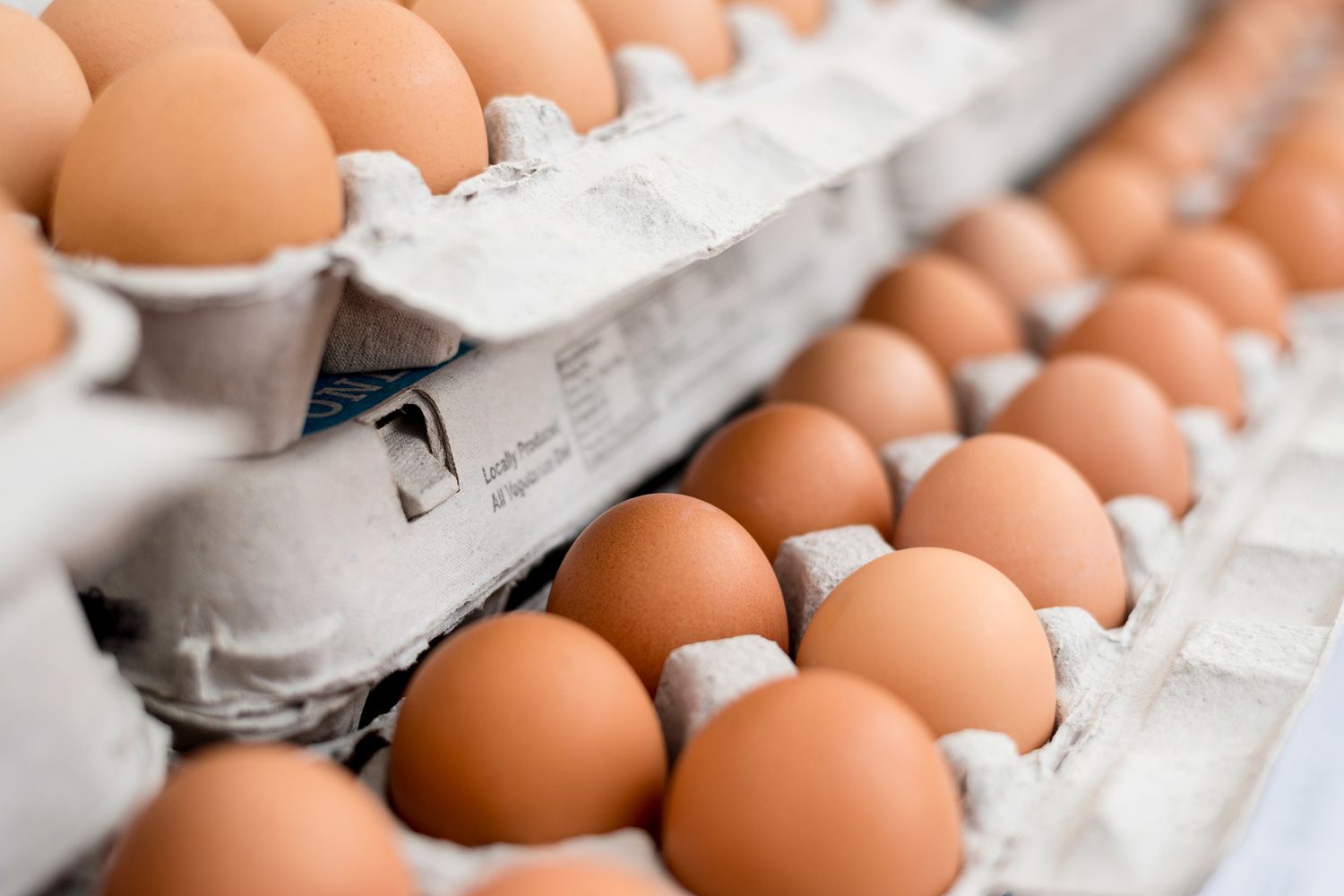10 Reasons Why are Eggs So Expensive in Hawaii