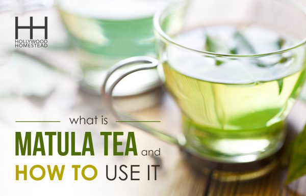 8 Reasons Why is Matula Tea So Expensive