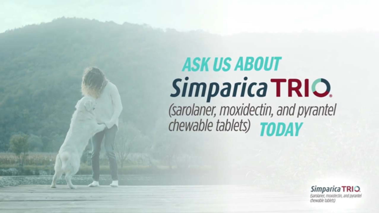 8 Reasons Why is Simparica Trio So Expensive